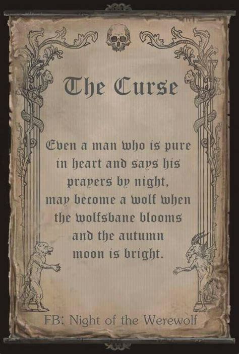 The Curse Book: A Portal to the Unknown
